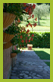 giardino 11