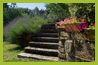 giardino 4