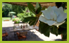 giardino 6