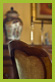 interno agriturismo