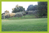 parco 12