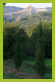 parco 15