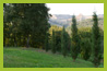 parco 16
