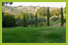 parco 17