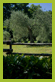 parco 5