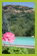 piscina 6
